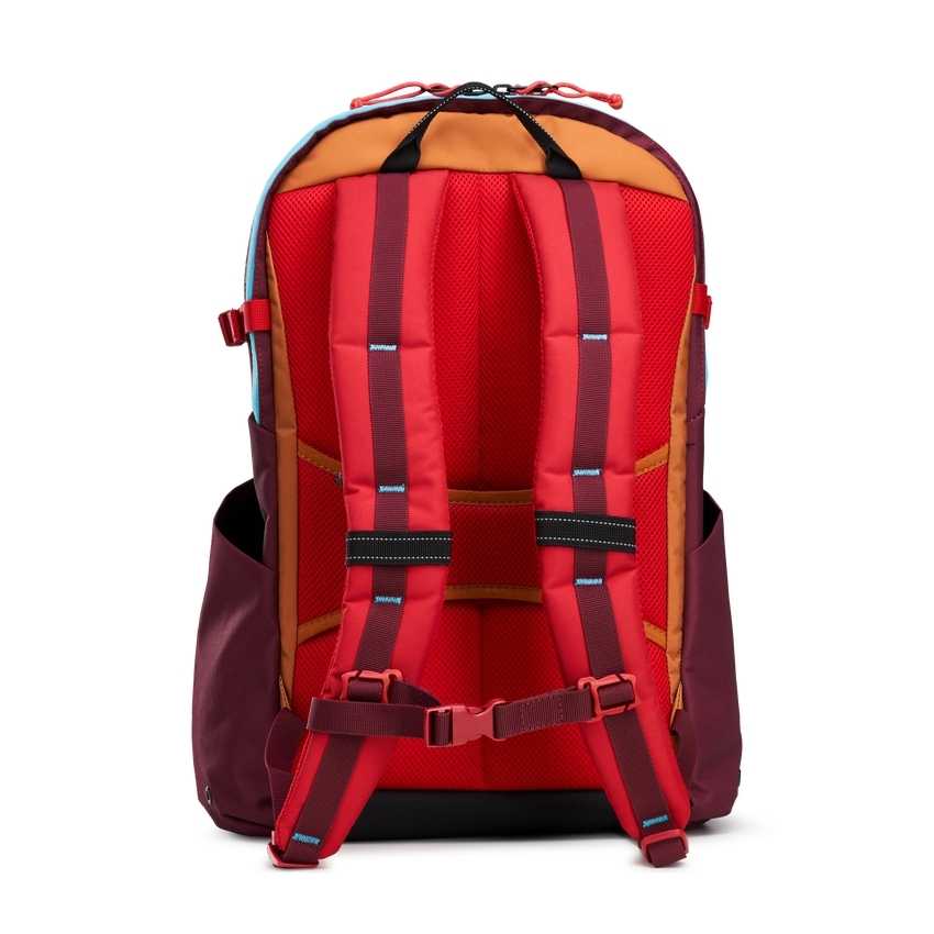 Ogio Alpha 20L Backpack | 12NVLYPOM