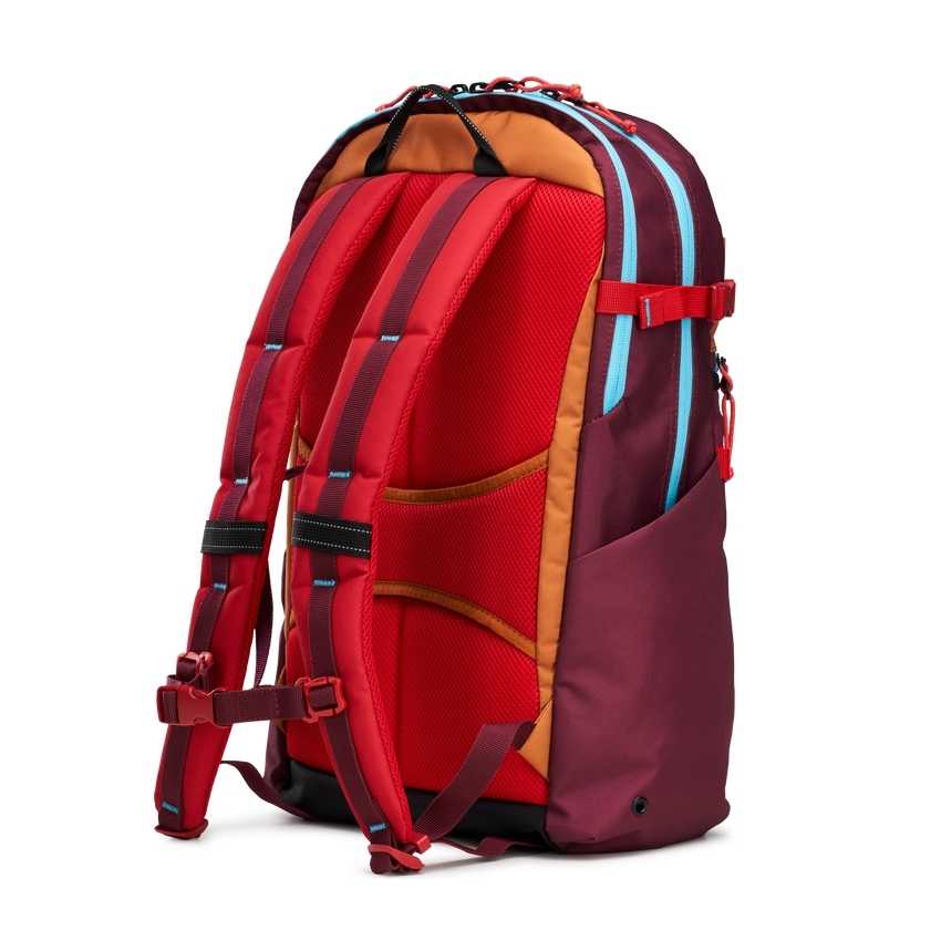 Ogio Alpha 20L Backpack | 12NVLYPOM