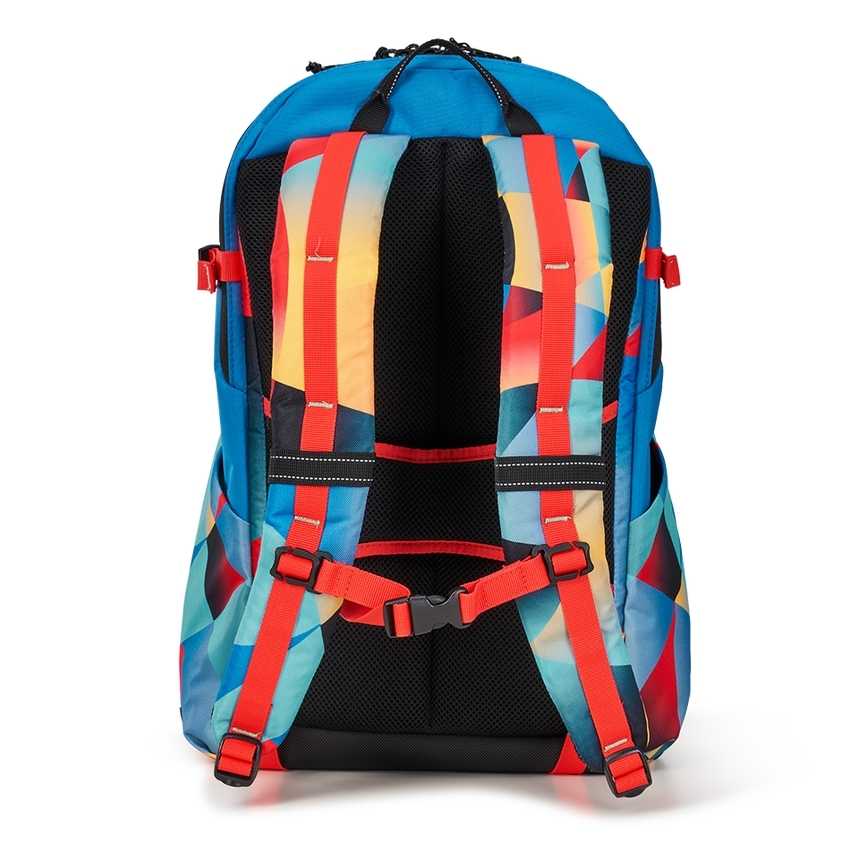 Ogio Alpha 20L Backpack | 20XMURDSG